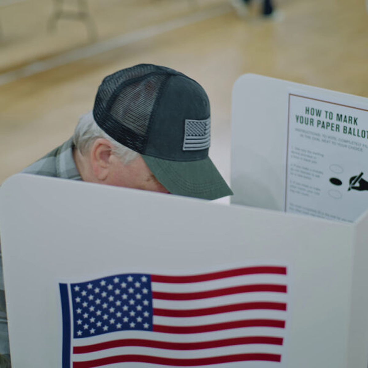 Election Integrity & Voter ID